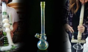 purchase bongs