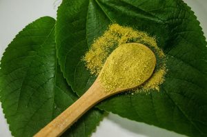 kratom for pain relief